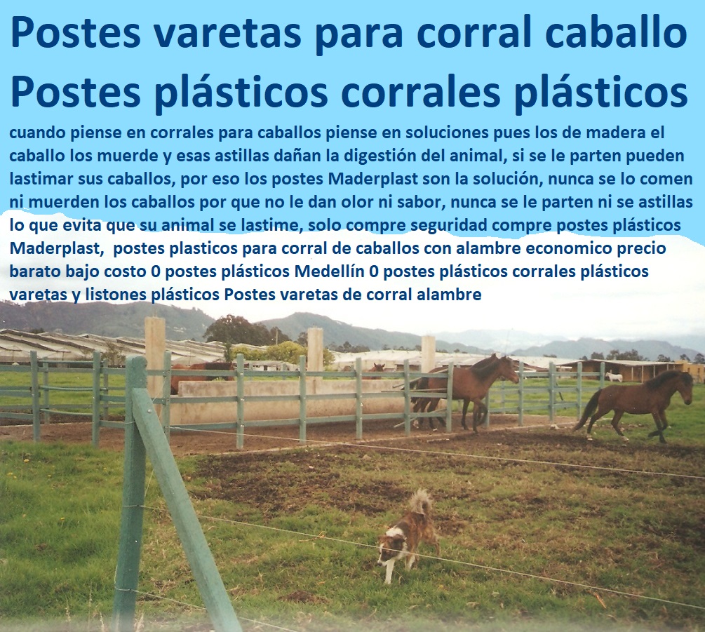 postes plasticos para corral de caballos con alambre economico precio barato bajo costo 0 postes plásticos Medellín 0 postes plásticos corrales plásticos varetas y listones plásticos Postes varetas de corral alambre postes plásticos para corral de caballos con alambre economico precio barato bajo costo 0 postes plásticos Medellín 0 postes plásticos corrales plásticos varetas y listones plásticos Postes varetas de corral alambre